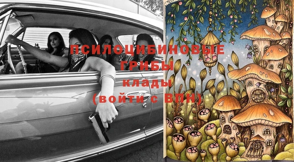 каннабис Белокуриха