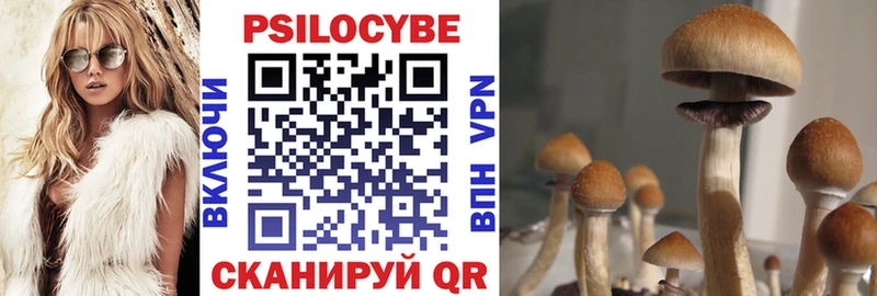 Псилоцибиновые грибы Magic Shrooms  Облучье 